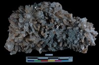 藏品(黃銅礦)的圖片